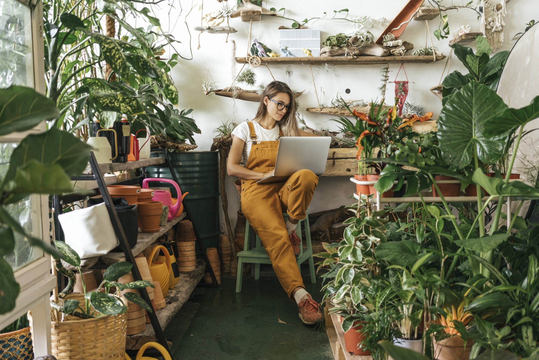 Easy Tips for Your Plant Care: