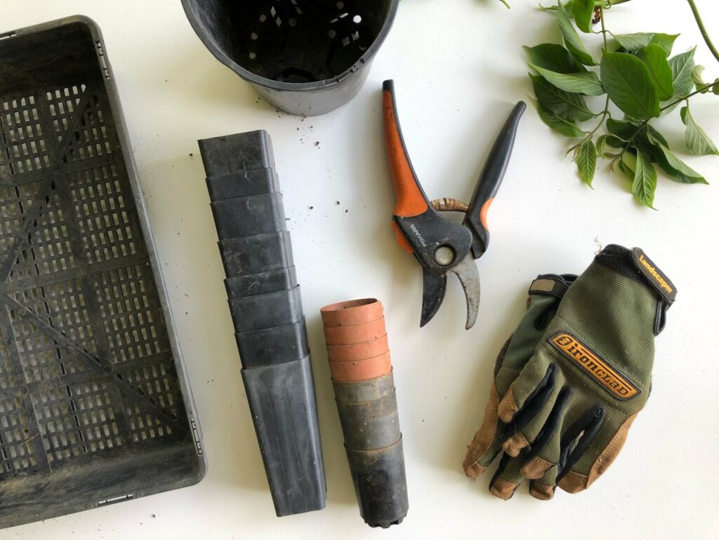 Gardening Catalog