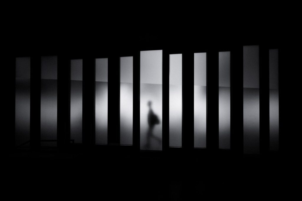 Historical Forensics: Identifying the Disappeared (2009-2011)