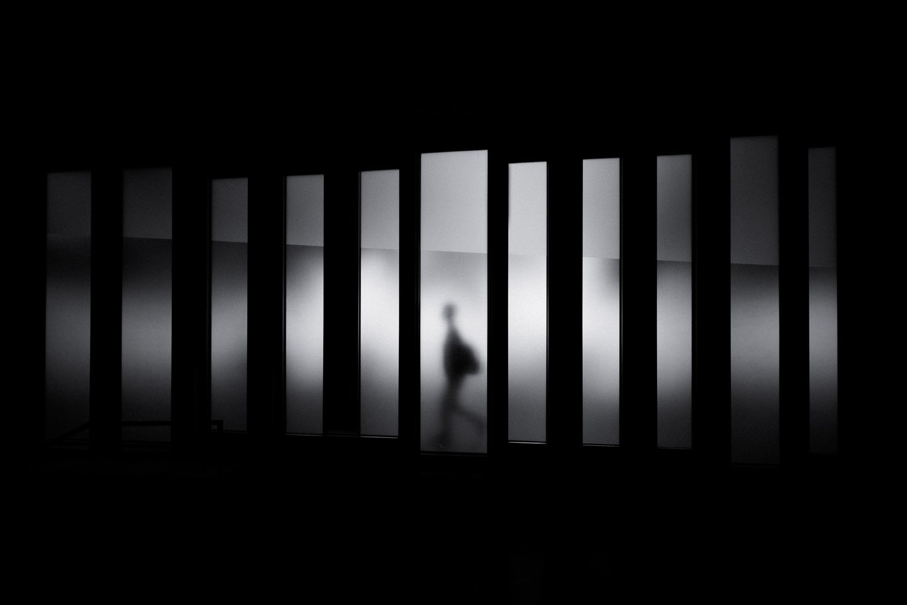 Historical Forensics: Identifying the Disappeared (2009-2011)