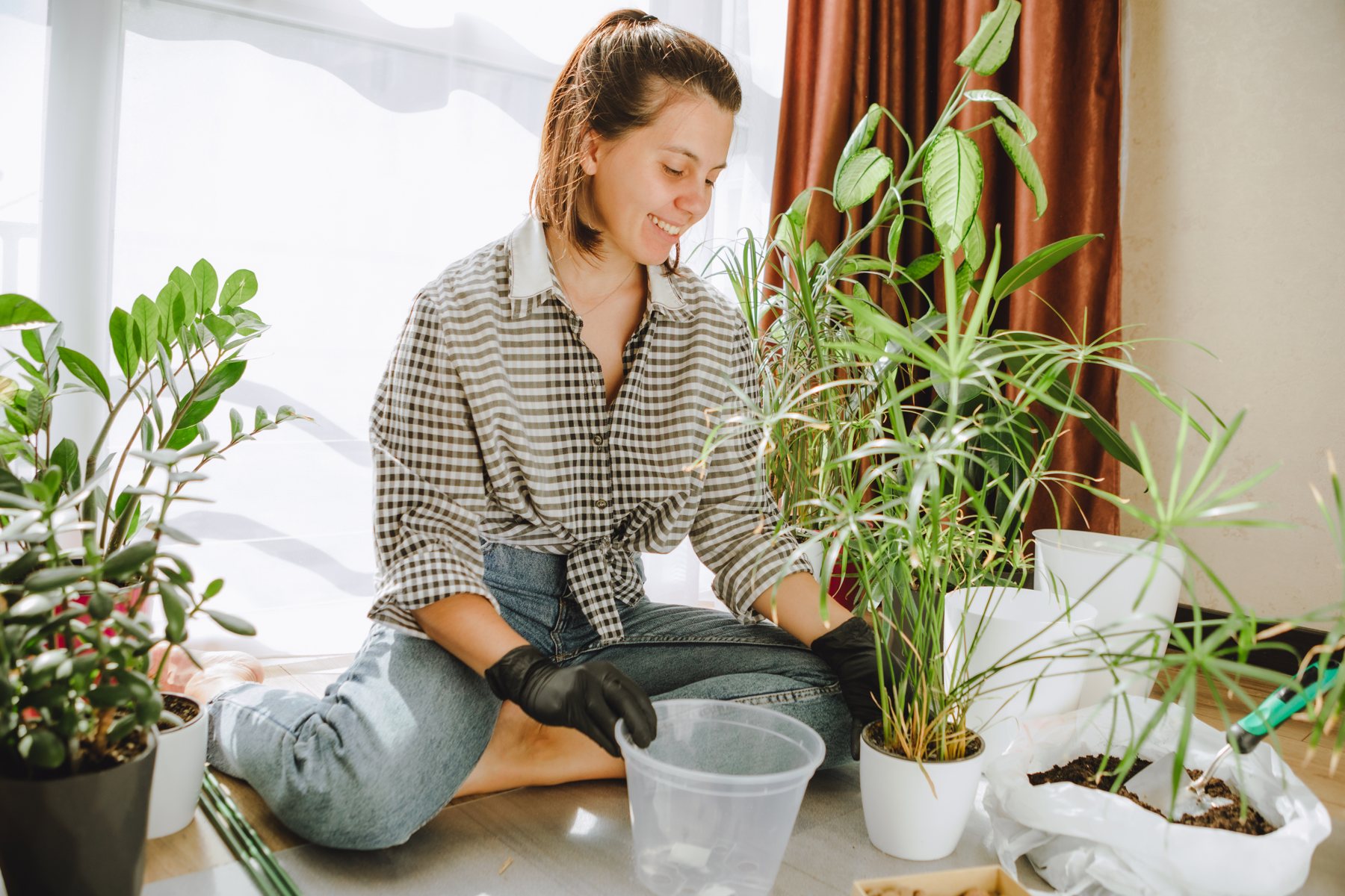 easy tips for your plant care