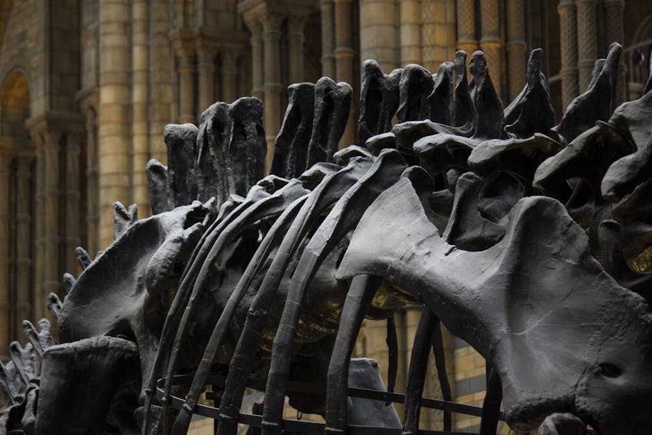 Dinosaur Evolution Study