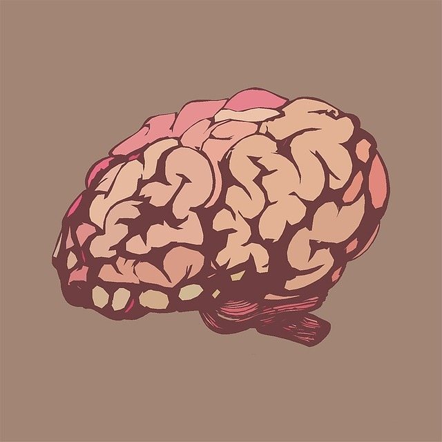 AI Breakthrough: Brain-to-Speech Technology for Paralysis Patients