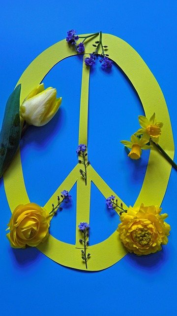 Ukraine peace negotiations