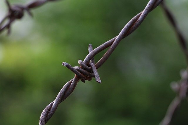 Unlocking Reality: The Power of Quantum Entanglement