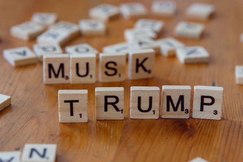 assess Trump Nigeria policy