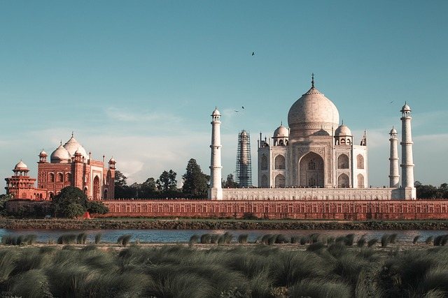 TREPS India Liquidity