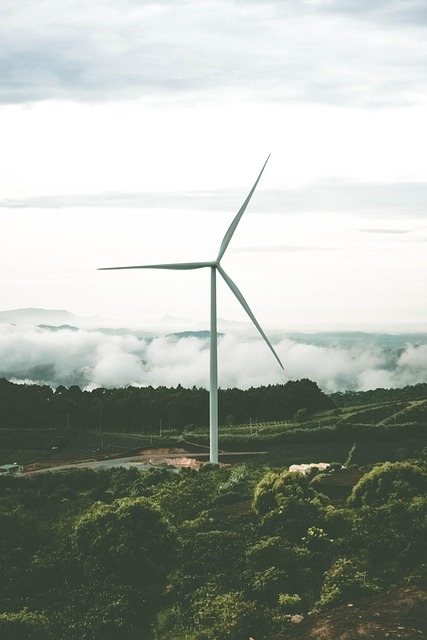 Exploring the Importance of Environmental Sustainability