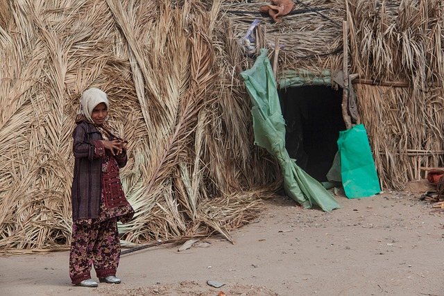 Balochistan Enforced Disappearances: December 2024 TBP Report