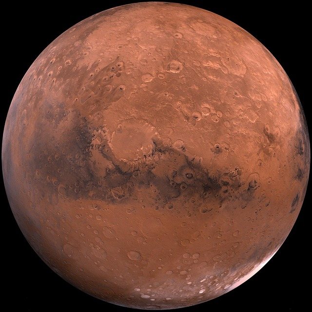 Martian meteorite NWA 16788