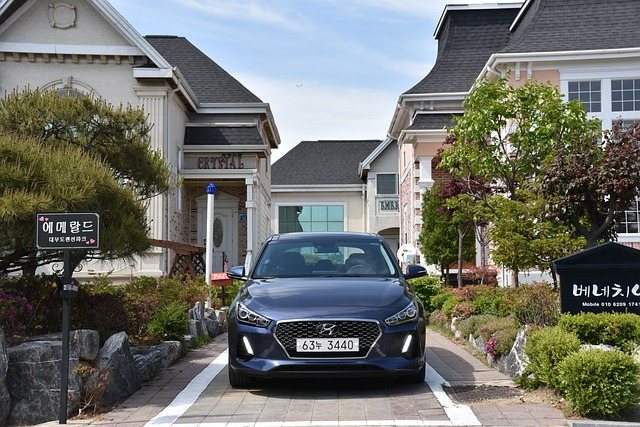 Hyundai Motor India IPO