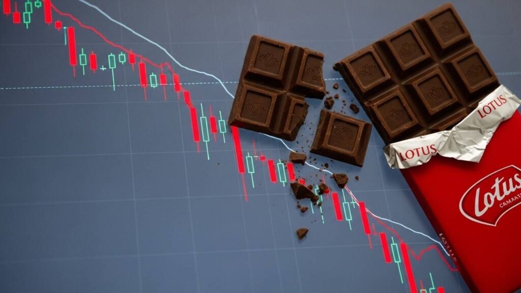 Lotus Chocolate Share: From Crorepati Maker to Major Fall