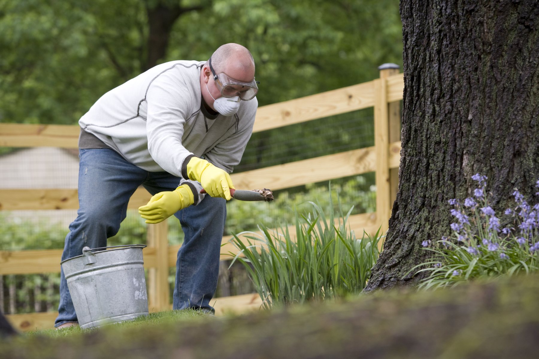 easy tips for your plant care