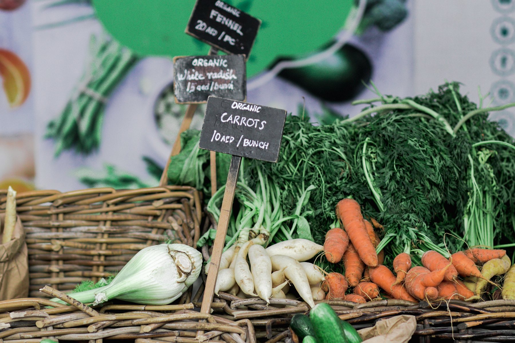 Essential Nutrients for Healthy Bones