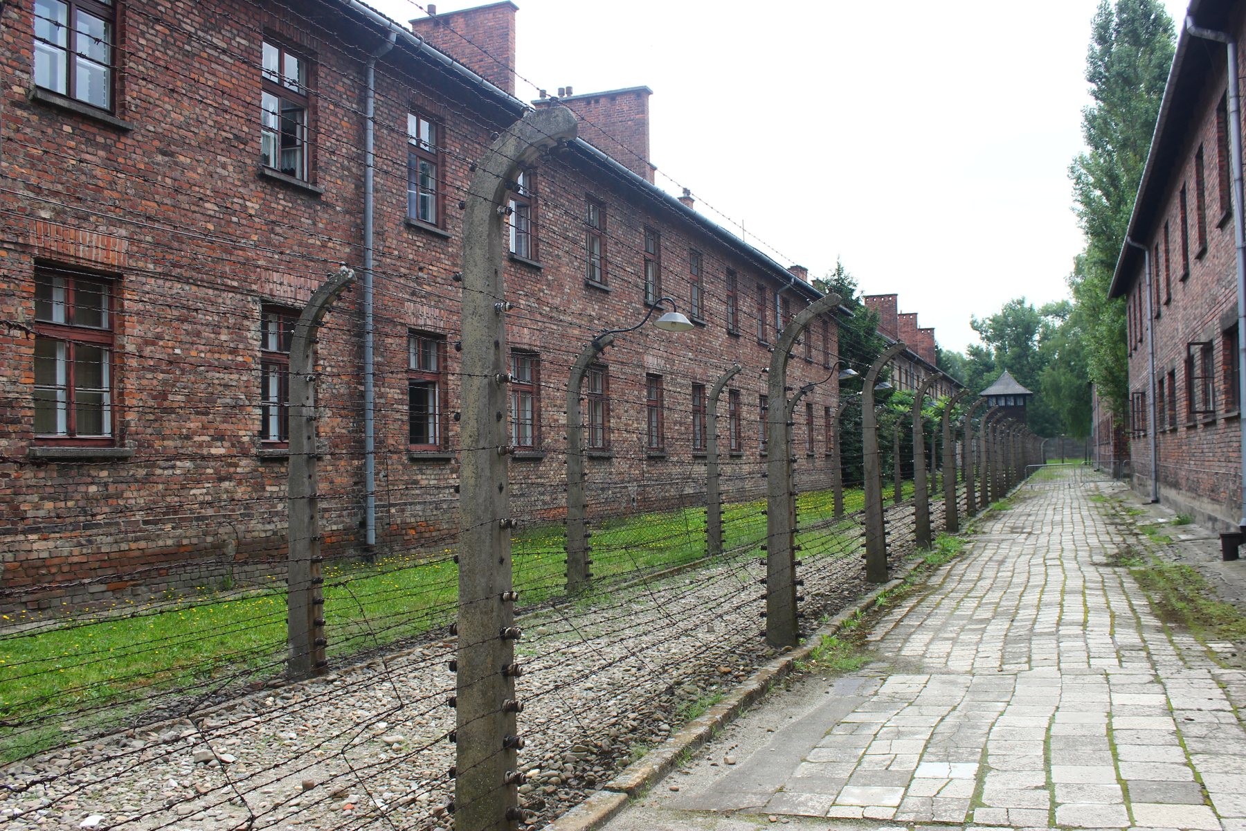 World of Dark Tourism: Auschwitz-Birkenau
