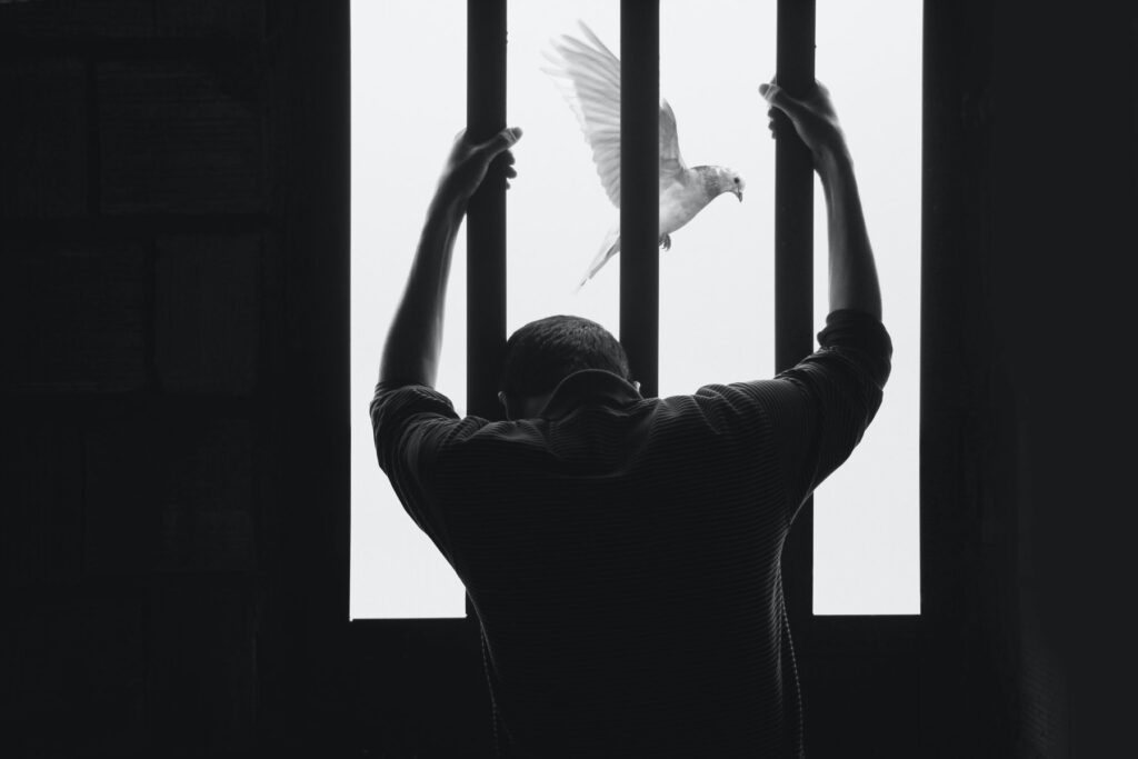 Russia Prisoner Swap: US Teacher Freed Russian Bitcoin Founder Returned