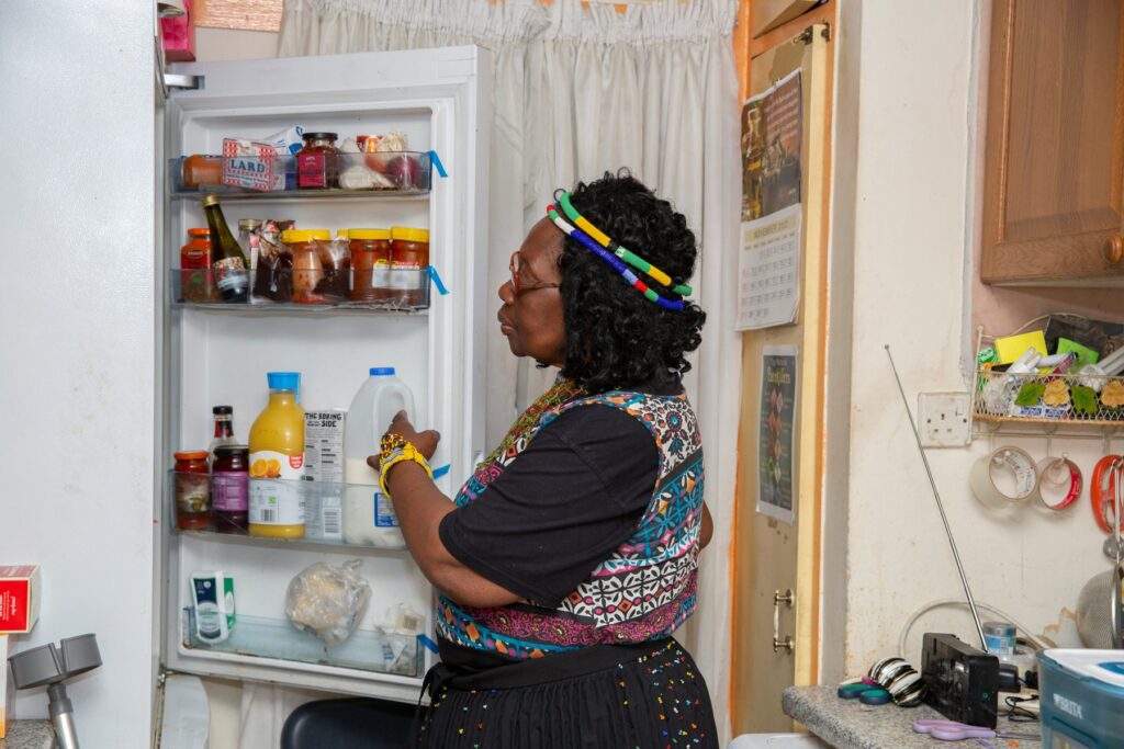 Refrigerator Insights for Investment: Predicting Future Trends