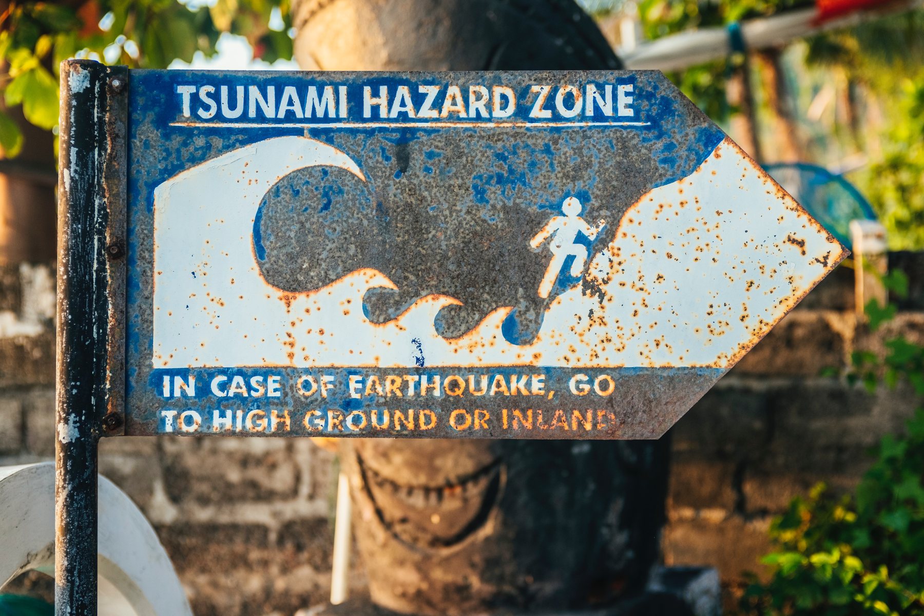 Tsunami warnings and preparedness