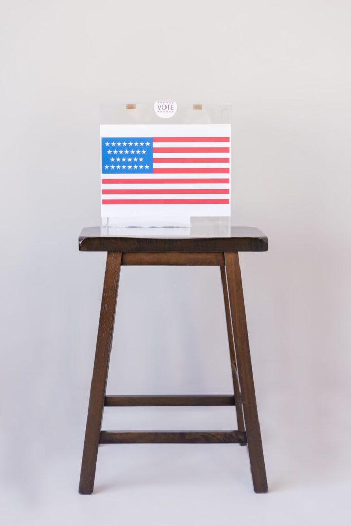 Democracy and Indicted Candidates: Challenges to Modern Governance