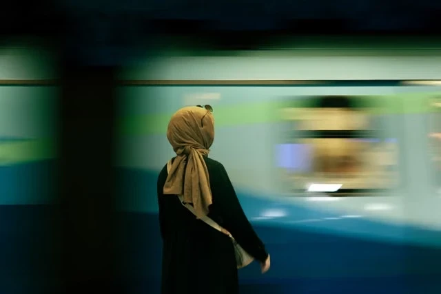 human cognition and modern life speed