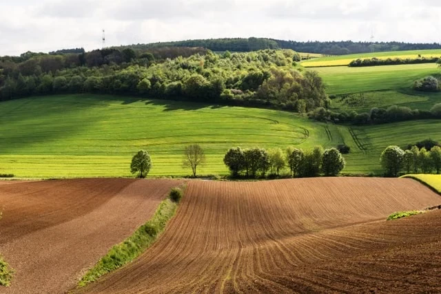 economic security EU U.S. agreement supply-chain resilience