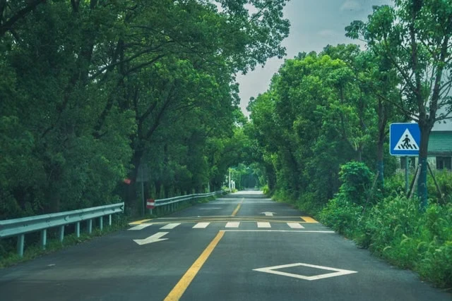 Road safety personal wellness habits road safety personal wellness habits