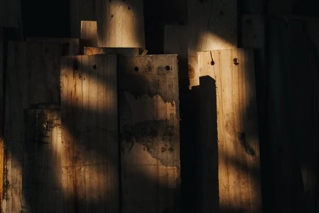The Hidden Cost of Illegal Timber: How Customs Fraud Fuels Global Deforestation