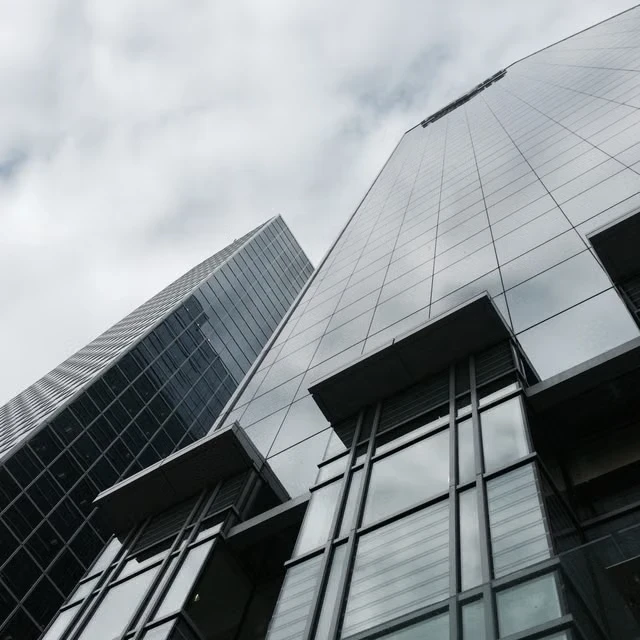 AI CEOs call AI CEOs call for slower development follow-through
