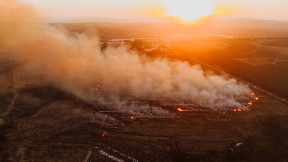 Four Firefighters Perish as Indonesia Battles Its Worst Forest Fires in a Decade