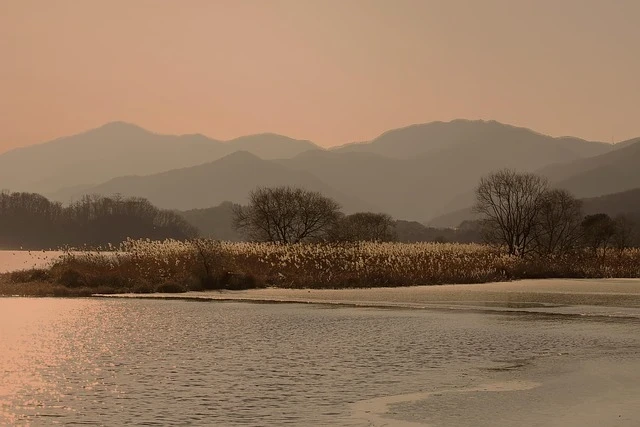 South Korea Japan diplomatic relations South Korea Japan diplomatic relations