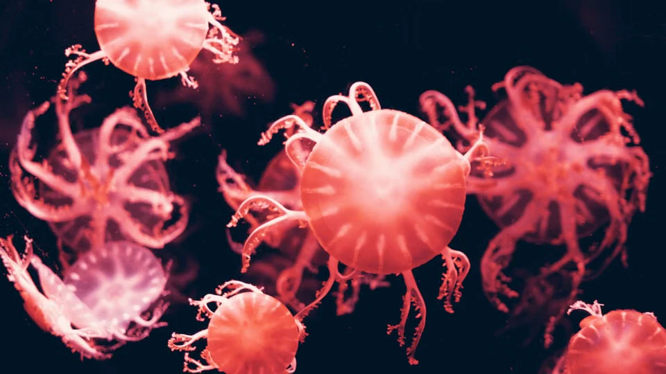 Sea Monsters, Long COVID Microbiomes, and Elephant Carcasses: The Science Week That Reframed the Unknown
