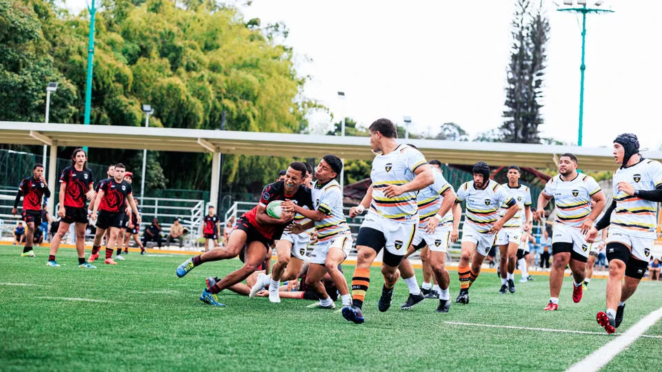 Stranded Giants: When Champions Cup Rugby Collided with the Fragility of Flight