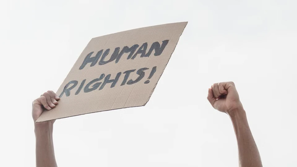 When Paperwork Becomes Protest: India's Voter Roll Crisis and the Rise of Gen Z Dissent